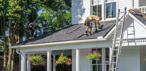 Best Storm Damage Roof Repair  in Peoria Heights, IL